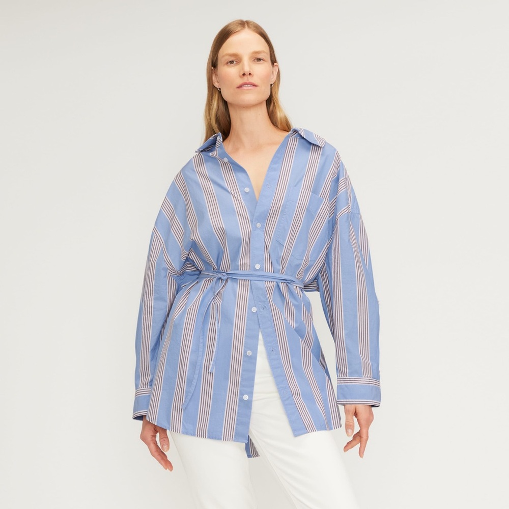 Everlane Blue and White Striped Top